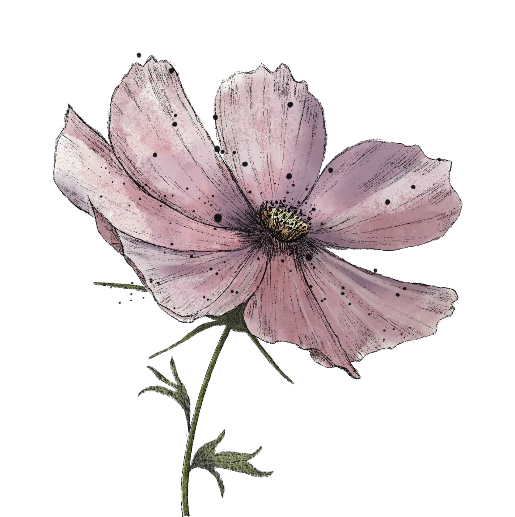 Logo website Irma Lalieu